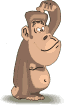 79.jpg.gif