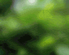 798525.jpg.gif