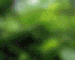 798525.jpg.gif